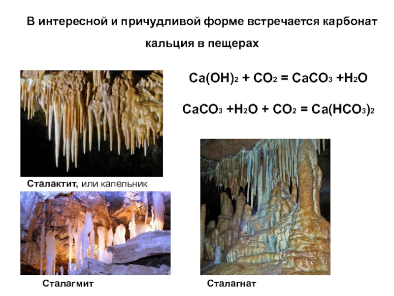 Кальций h2o. Карбонат кальция в природе сталактиты. Сталактиты и сталагмиты разница. Сталактиты и сталагмиты рисунок. Капельник в пещере.