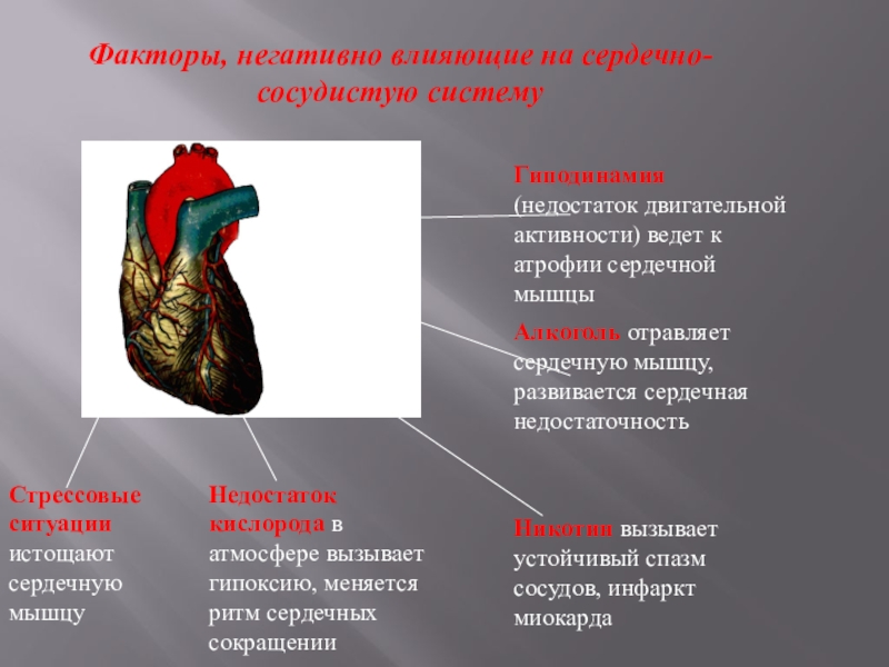 Средства влияющие на сердечно сосудистую систему презентация