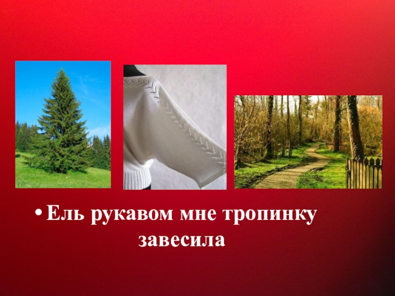 Фет ель рукавом мне тропинку завесила. Ель рукавом мне тропинку завесила. Нль руковом мнетропинку завесила. Ель рукавом тропинку завесила. Ель рукавом на трапинку.