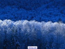 Презентация по литературному чтению