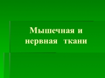 Презентация по биологии на тему Мышечная и нервная ткани (5 класс)