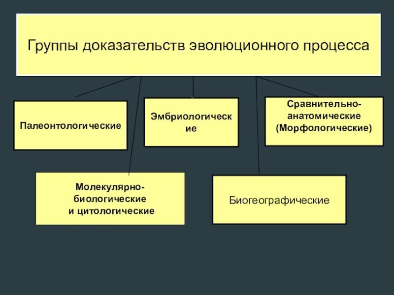 Группы доказательств эволюции. Группы доказательств эволюционного процесса. Группы доказательств эволюционного процесса таблица. Генетические доказательства эволюции. Группы доказательств эволюционного процесса 8 класс.