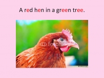 Презентация по английскому языку In the bathroom (2 класс), Spotlight