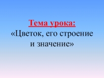 Цветок, его строение и значение.