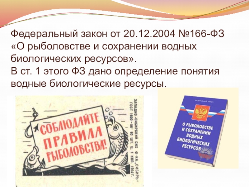 Федеральный закон 20. ФЗ О рыболовстве. О рыболовстве и сохранении водных биологических ресурсов. Закон о рыболовстве и сохранении водных биологических ресурсов. Федеральный закон от 20.12.2004 № 166-ФЗ.