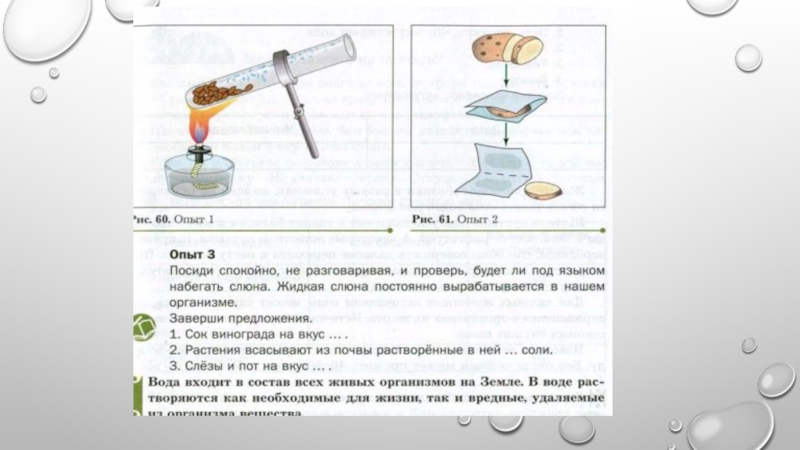 Презентация на тему можно ли жить без воды 5 класс