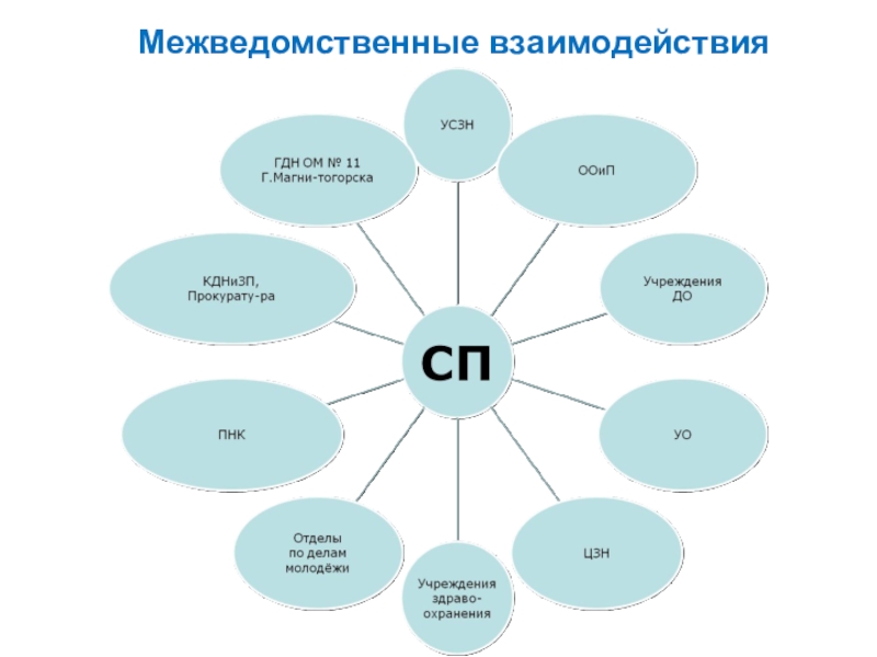 План социальное взаимодействие