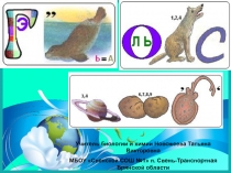 Урок на тему: Простейшие, жгутиконосцы, инфузории.