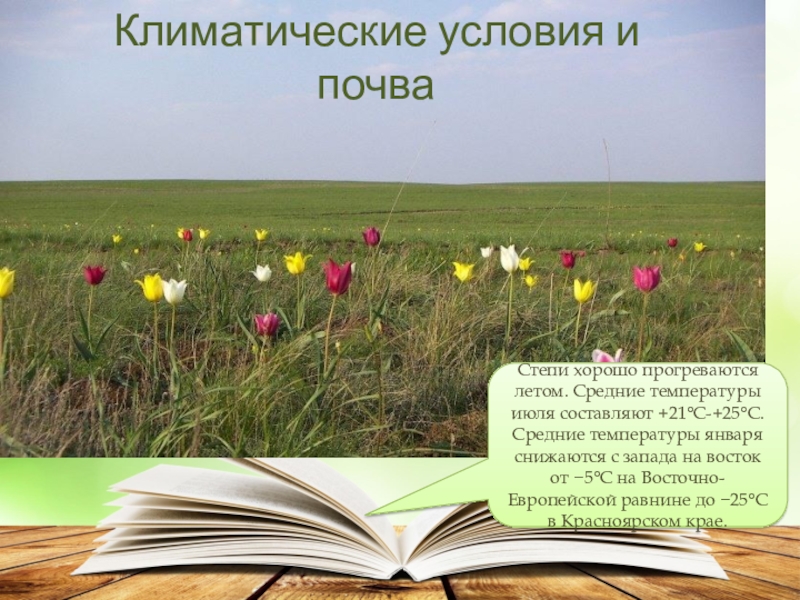 Степи окружающий мир 4 класс видеоурок. Степь презентация 4 класс. Презентация природные зоны России степи. Степи окружающий мир. Факты о степи.