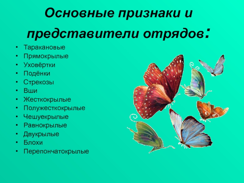 Презентация на тему класс насекомые 7 класс биология