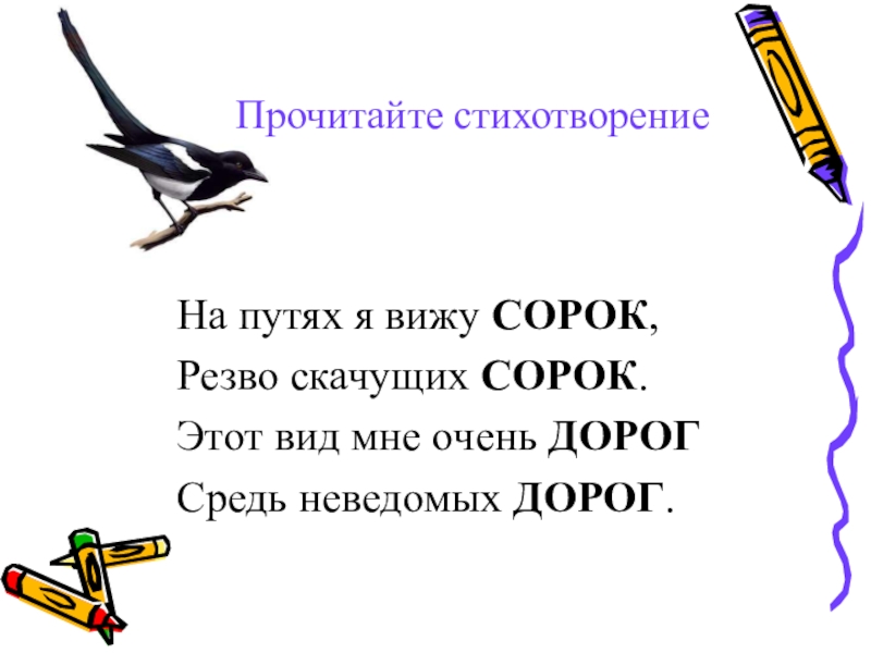 Русский язык прочитайте стихотворение. Сорок сорок стих. На путях я вижу сорок резво скачущих сорок. Стих на путях я вижу сорок. На путях я вижу сорок резво скачущих сорок ударение.