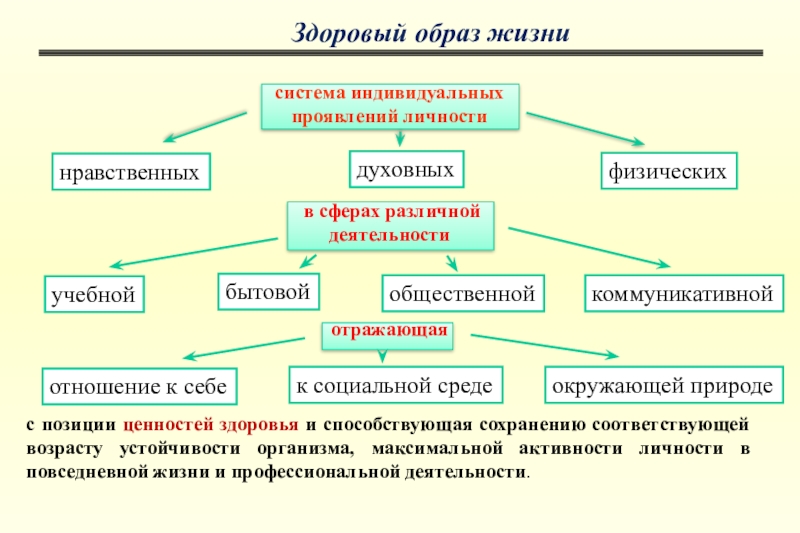 Индивидуальная система. Активность личности проявляется в:. Проявление индивидуального стиля жизни личности. Подсистемы индивида.