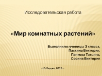 Презентация Исследовательская работа Комнатные растения.