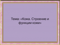 Презентация по биологии  Кожа. Строение и функции кожи
