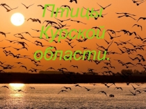 Презентация к сценарию школьного мероприятия Птицы – наши друзья