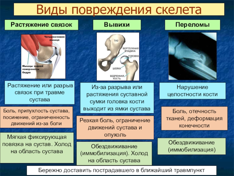 Схема виды травм