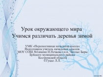 Учимся различать деревья зимой