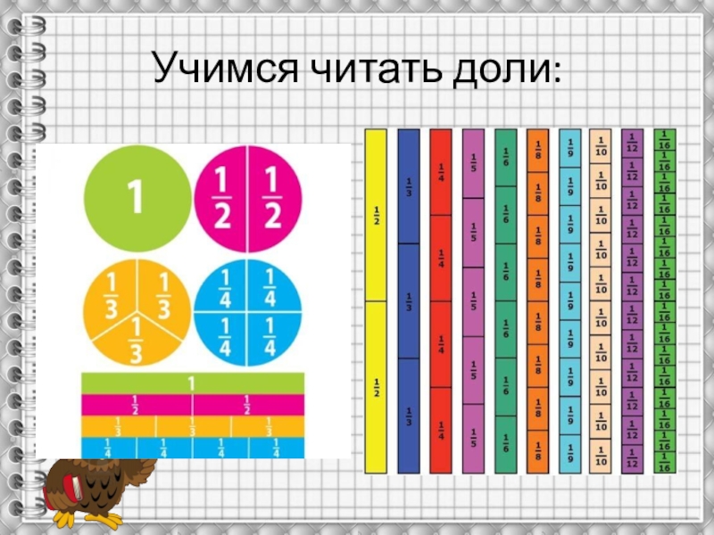 Доли пора. Что такое доля в математике. Доли и дроби наглядный материал. Доли 3 класс наглядный материал. Доли наглядное пособие.