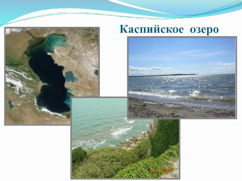 Каспийское море проект по окружающему миру