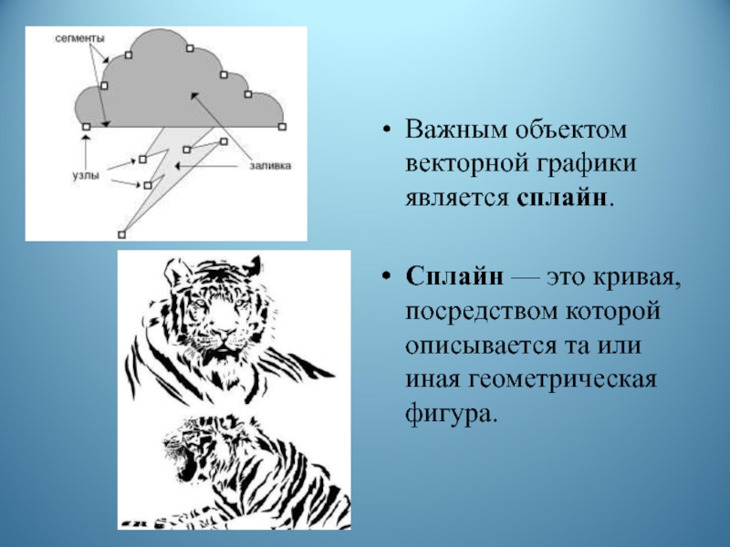 Понятие линии узла сегмента контура векторного изображения