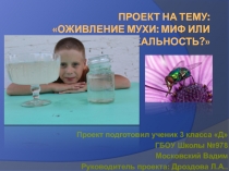 Презентация по окружающему миру на тему Оживление мухи:миф или реальность?