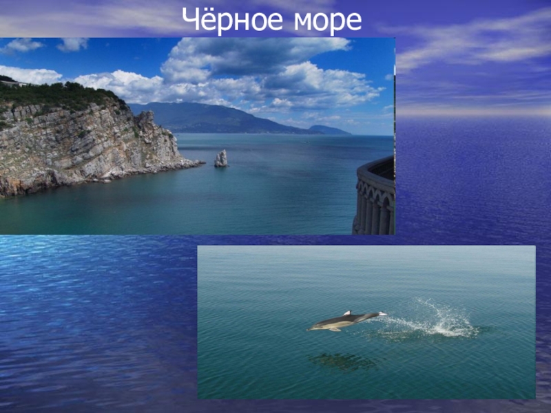 Черное море проект 4 класс