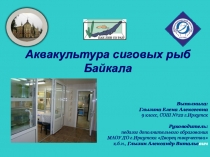 Презентация по водной экологии Аквакультура сиговых рыб оз.Байкал
