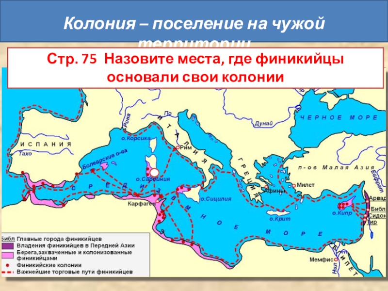 Тест финикийские мореплаватели 5