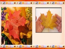 Презентация к уроку литературы Красота поэзии Л.И.Ошанина