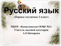 Презентация по русскому языку на тему Парные согласные