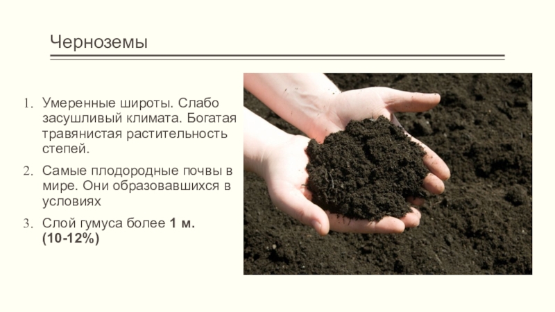 В какой зоне наиболее плодородные почвы. Плодородная почва. Черноземы самые плодородные почвы в мире. Плодородность почв в мире. Самые плодородные почвы планеты.