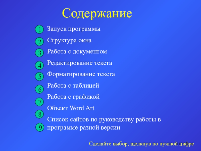 Содержание Запуск программыСтруктура окнаРабота с документомРедактирование текстаФорматирование текстаРабота с таблицейРабота с графикойОбъект Word ArtСписок сайтов по руководству