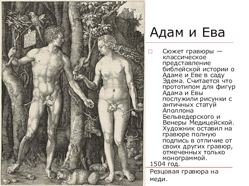 Включить про еву. Рост Адама и Евы по Библии скелет.