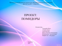 Презентация к проекту Помидоры