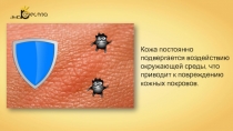 Презентация по биологии на тему: Болезни и травмы кожи