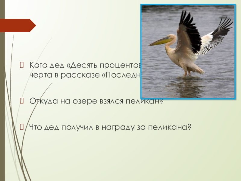 Кого дед «Десять процентов» принял за черта в рассказе «Последний черт»? Откуда на озере взялся пеликан?Что дед