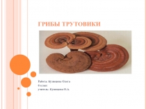 Презентация по биологии на тему Грибы трутовики