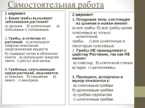 Лишайники урок в 5 классе