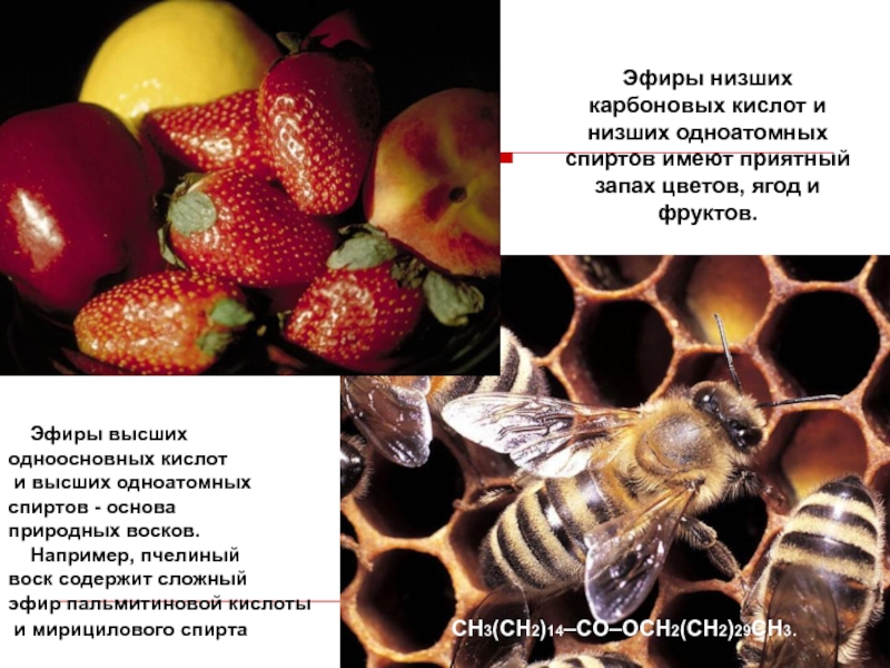 Химия 10 класс сложные эфиры жиры тест. Пчелиный воск эфир пальмитиновой кислоты. Сложные эфиры низших карбоновых кислот и спиртов. Сложные эфиры фруктов и ягод. Цветочные запахи сложных эфиров.