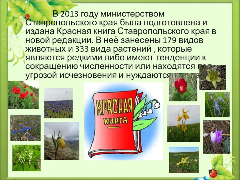 Красная Книга Растений Ставропольского Края Фото