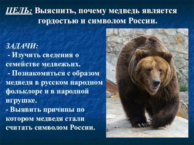 Почему россия медведь
