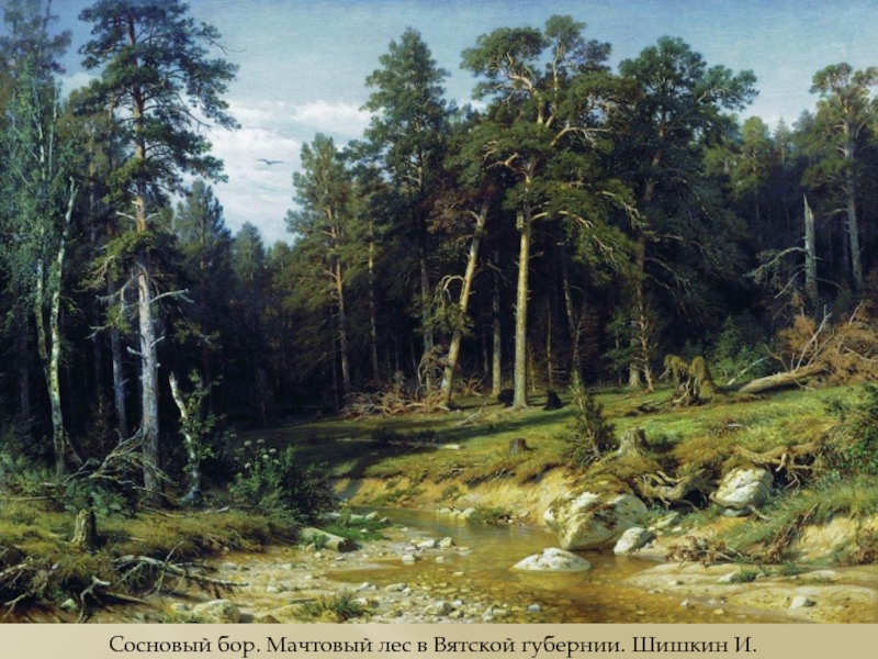 Сосновый бор. Мачтовый лес в Вятской губернии. Шишкин И.И.1872 г.
