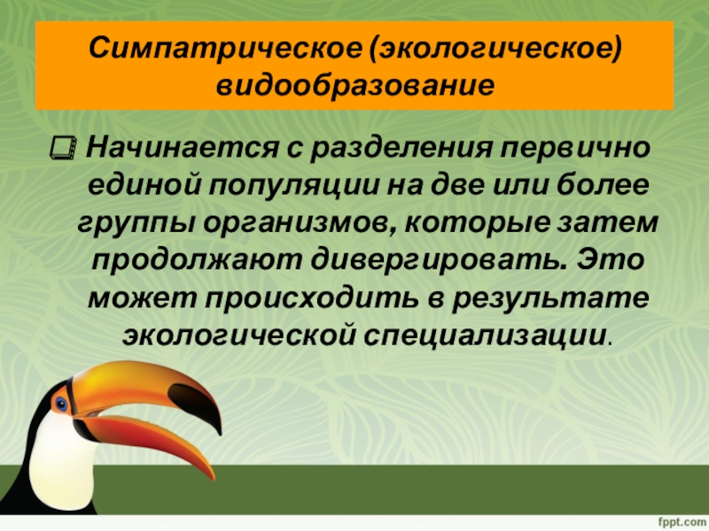 Презентация по биологии видообразование презентация