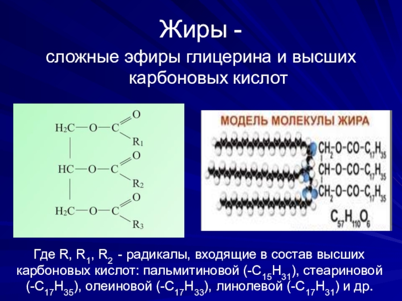 Жиры презентация по химии