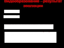 Презентация урока по теме Видообразование