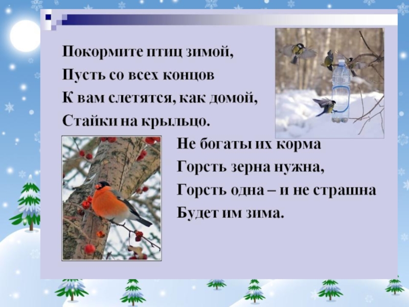 Как помочь птицам зимой. Покорми птиц зимой проект. Покормите животных зимой. Защита зимующих птиц. Проект зимующие птицы.