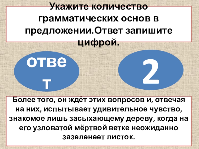 Укажите количество грамматических основ в предложении