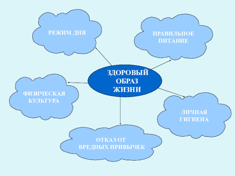 Гигиена здоровый образ жизни презентация