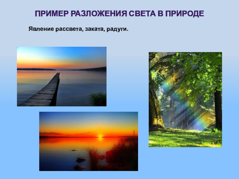 Роль светы. Видимое излучение в природе. Роль в природе видимого света. Видимый свет в природе. Видимые излучения в природе.