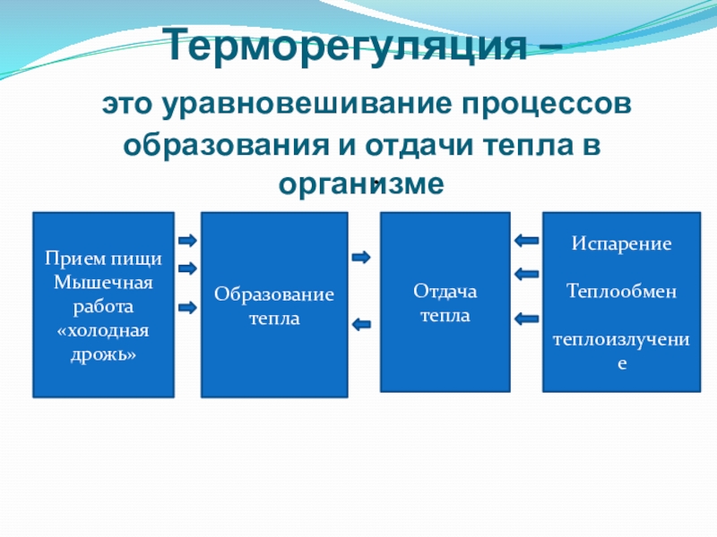 Презентация терморегуляция организма закаливание 8 класс презентация